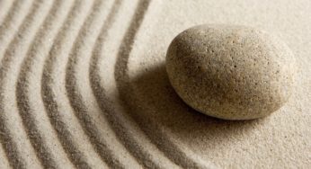 Our Philosophy – Native Translators