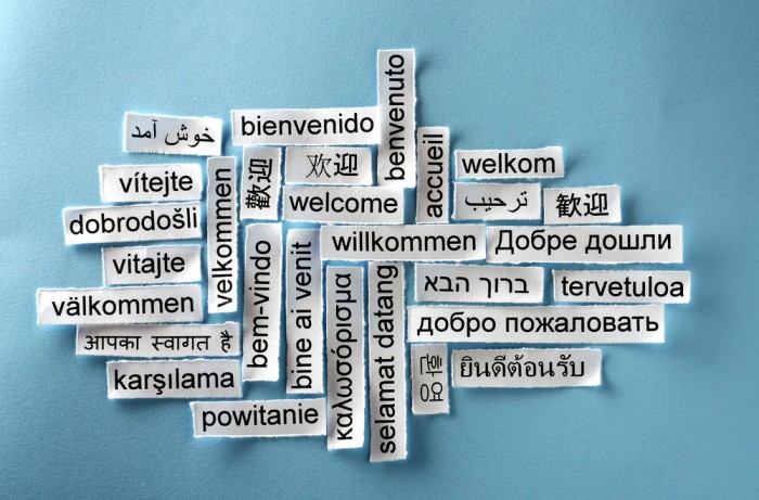 Würden Sie diese seltenen Sprachen lernen?