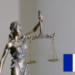 Legal dictionaries – French